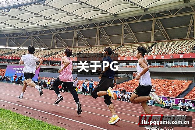 关于PG